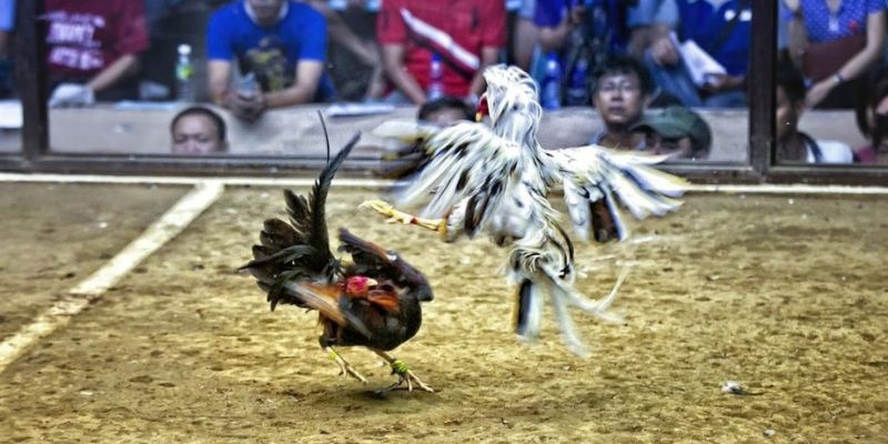 betvisa88 ﻿đăng nhập lô đề uy tín