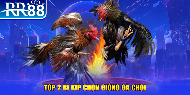 betvisa88 bắn cá h5