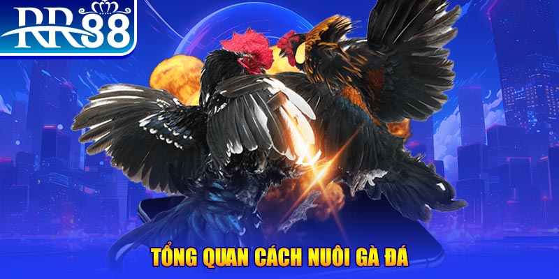 betvisa88 xổ số thứ ba