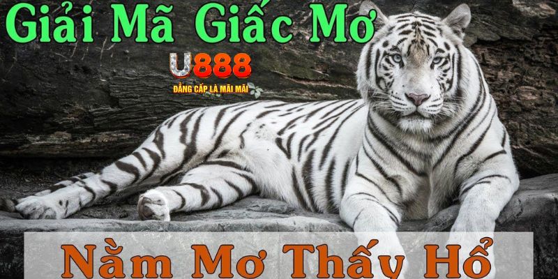 betvisa88 Bài Poker Joker