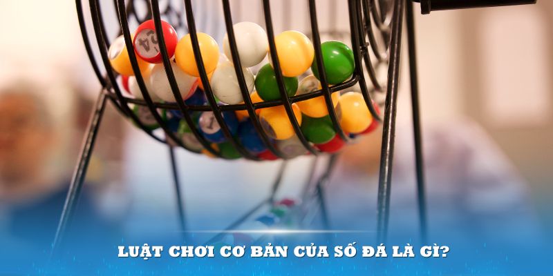 betvisa88 Đĩa màu ace