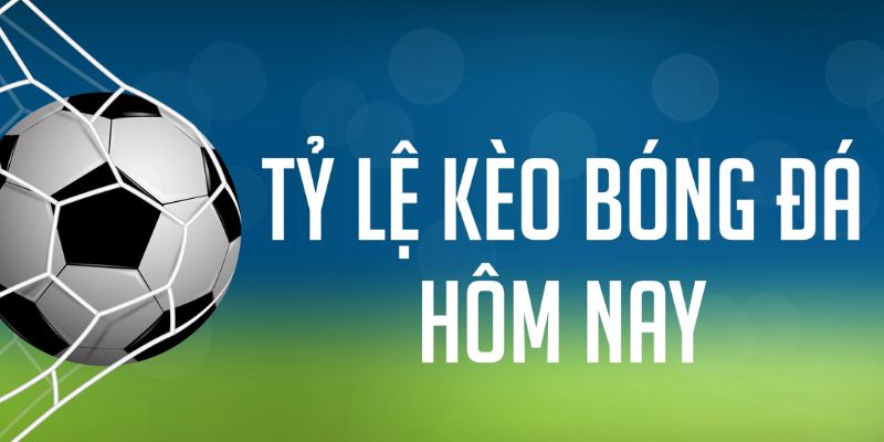 betvisa88 ÁT CHỦ MÁY HOA QUẢ THẦN TÀI