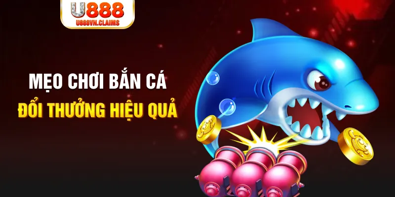 betvisa88 xổ số thứ năm hàng tuần