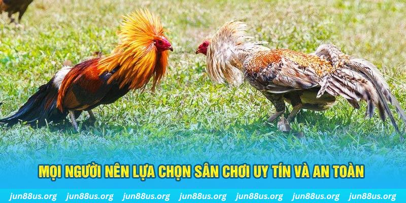 betvisa88 Tài Xỉu
