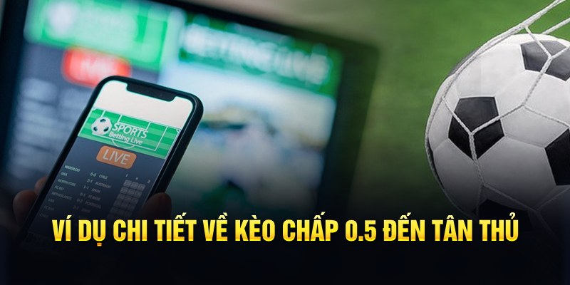 betvisa88 so xo mn