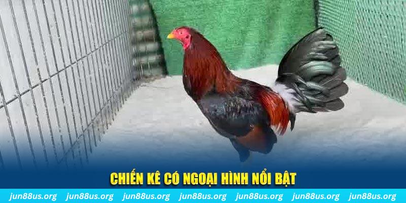 betvisa88 nhạc slot là gì